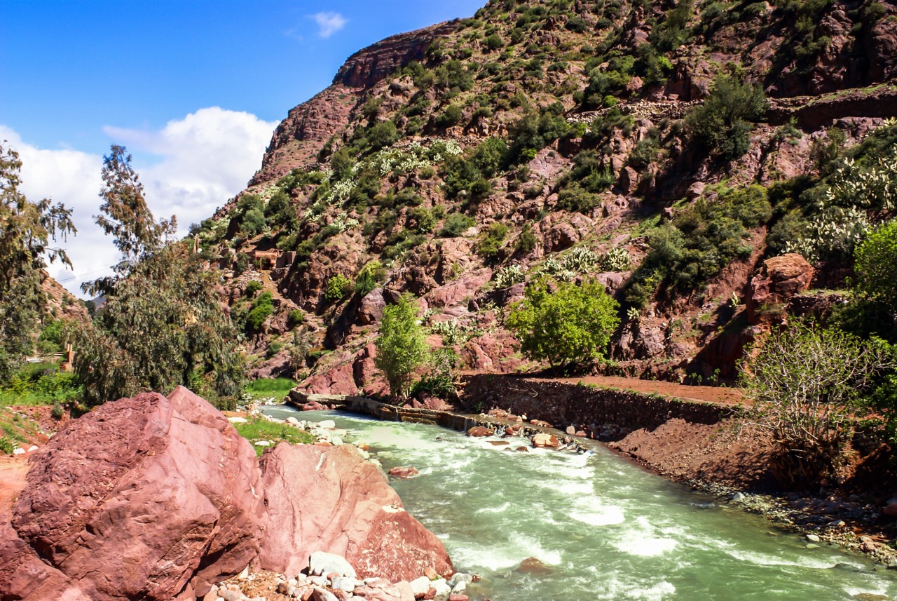 Services and Experiences